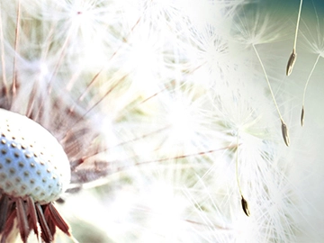 Прием аллерголога-иммунолога